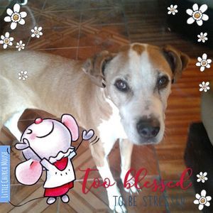 Meet your Posher, Karen